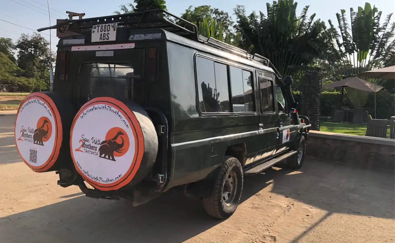 serengeti-great-wildebeest-migration serengeti-great-wildebeest-migration