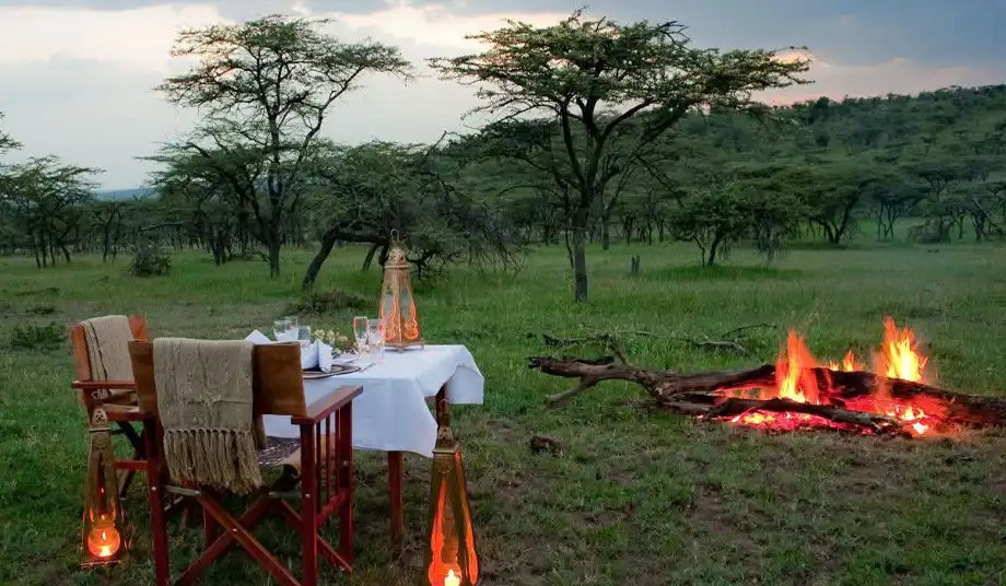 Tanzania Safari Tanzania Safari with Safari with 2 Brothers